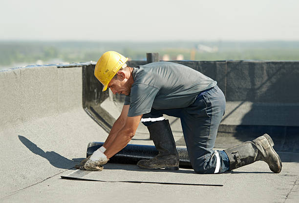 Best Insulation Repair Services  in Whitesboro, NJ